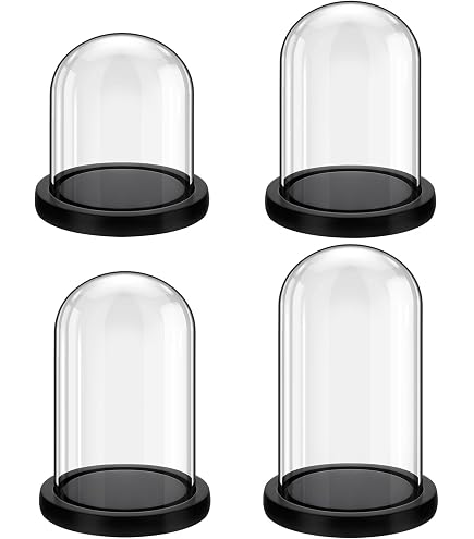 10 Inch Tall Clear Glass Display Cloche Dome - For Decor, Terrariums & Collectibles