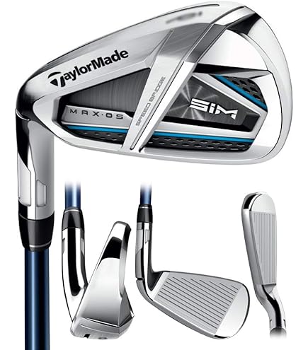 TaylorMade TAYLOR MADE P790 Iron N.S.PRO MODUS3 TOUR 105