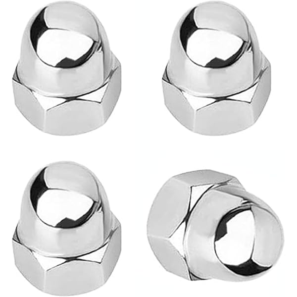 Amazon.com: ReplacementScrews License Plate Retainer Screws/Nuts 