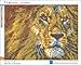 staroar 5D Diamond Painting Kits for Adults Special Shaped Full Crystal Rhinestone - Lion (44X34CM) Cross Stitch Diamond Art Craft