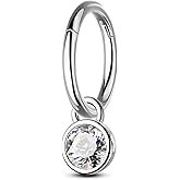 COCHARM 16G Clicker Rook Earrings Dangle Hoop Helix Earrings for Women 6mm 8mm Surgical Steel Rook Helix Piercing Jewelry Dangling Lobe Earring