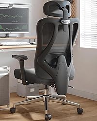 Hbada P3 Ergonnomic Office Chair with 2D Adjustable