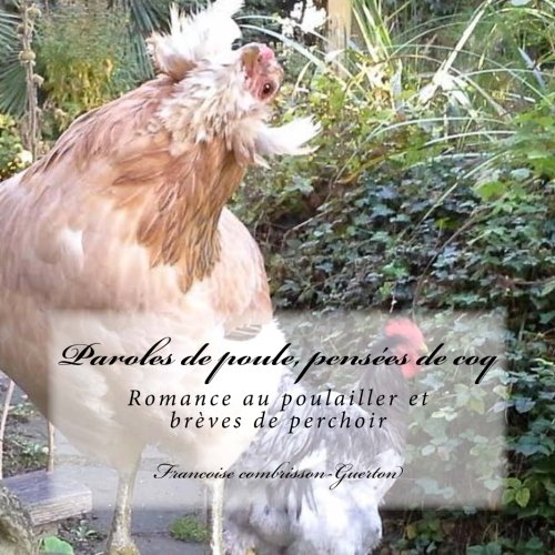 Linstallation Dun Poulailler Au Jardin