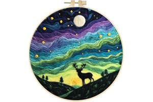 Needle Felting Starter Kit, Felt Painting Kit for Beginners Wool Needle Felt Set with Felt Needle, Picture Frame, Foam Pad, F