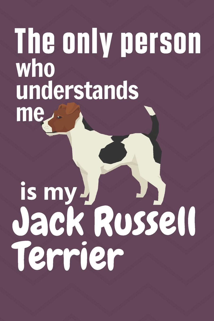 show me a jack russell dog