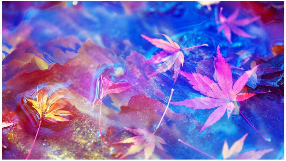 Yqgdss DIY Abstract Colored Psychedelic Leaves Landscape Jigsaw Puzzles for Adults Kids Elderly 300 Piece Fun Toy Games Art