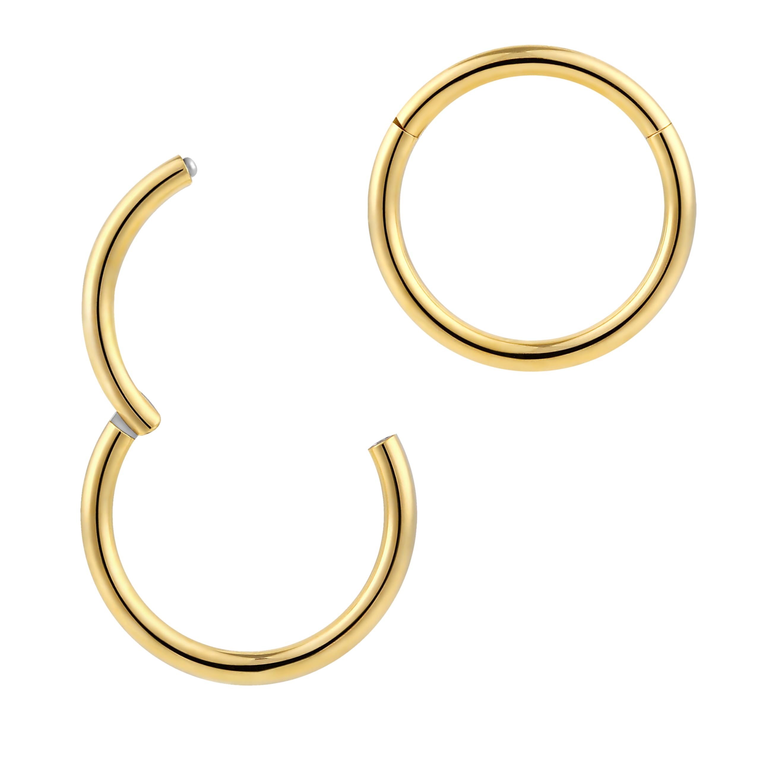 365 SLEEPERS Titanium Implant Grade Nose Rings Septum Jewellery Hinged Segment Ring Body Piercing Hoop Lip Rings Helix Cartilage Rook Earrings Nickel Free Hypoallergenic (14G 9mm)