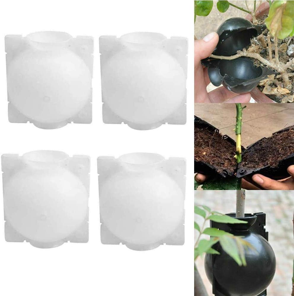 Plant Propagator Cutting Globe, Plant Rooting Device High