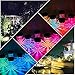 Ollivage Solar Pathway Lights Outdoor, Solar Garden Lights Color Changing Solar Landscape Lighting Weatherproof Auto On/Off for Lawn Patio Yard Walkway Sidewalk Driveway, 6 Pack