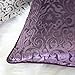 Homey COZY Modern Velvet Throw Pillow Cover (Plum)