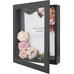 Golden State Art, 11x14 Shadow Box Frame Display