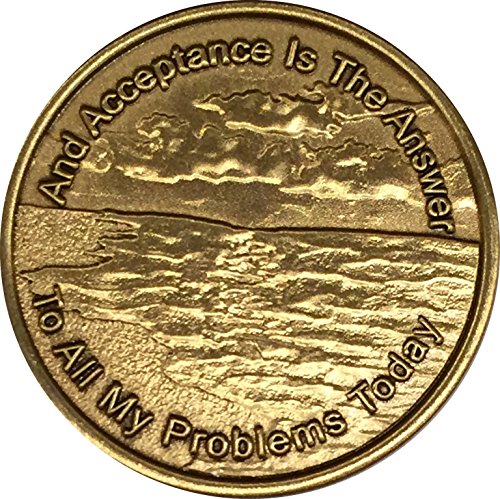 Acceptance Is The Answer Beach Sunrise Bronze AA Medallion Chip Page 449 417
