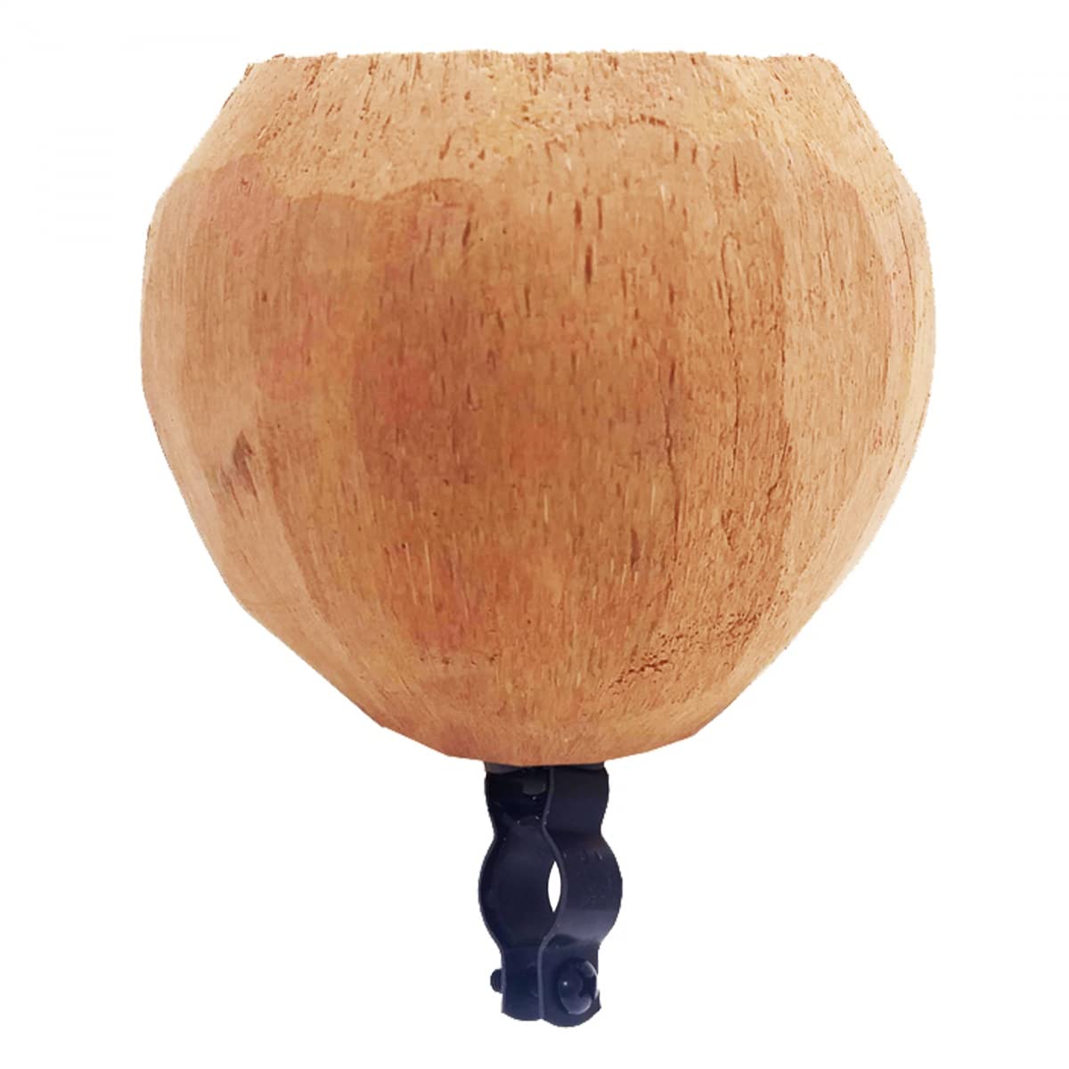 Cruiser Candy Coconut Bicycle Drink Holder