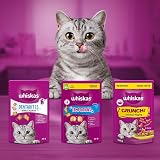 Whiskas Dentabites Cat Treats with Tasty Chicken 40 g Pack of 6 view 9
