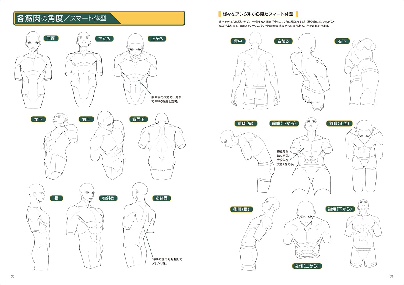 Off 強い筋肉の描き方 Www Hallo Tv