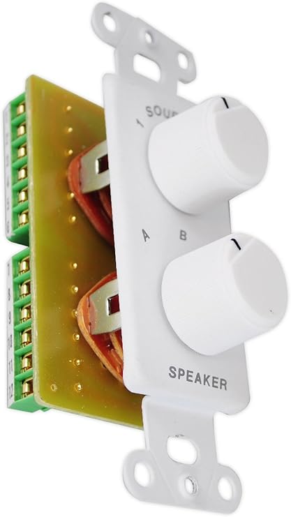 wall speaker switch
