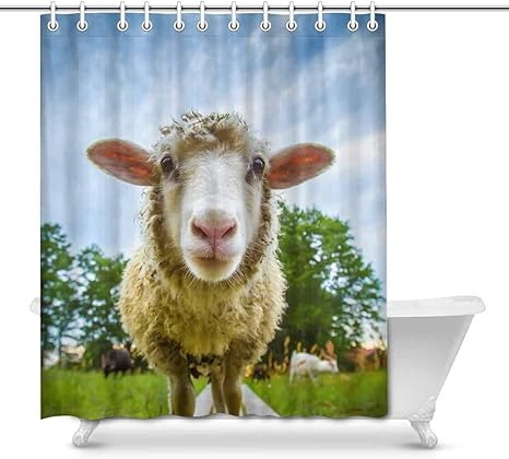 Amazon 水彩画のかわいい羊の子羊のかわいい動物の家の装飾シャワーカーテンバスルーム 装飾的なバスルームシャワーカーテンリングセット 66 幅 X 72 高さ インチ デザイン 2 66 X シャワーカーテン ホーム キッチン オンライン通販