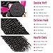 Hermosa Brazilian Curly Human Hair Bundles with Closure Grade 10A Virgin Unprocessed Brazilian Hair Weave Bundles with Closure Free Part 10 12 14 with 8