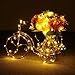 IREALIST Copper Wire Starry LED String Light 100 Leds 33 ft Rope Lights For Seasonal Decorative Christmas Holiday Wedding Parties