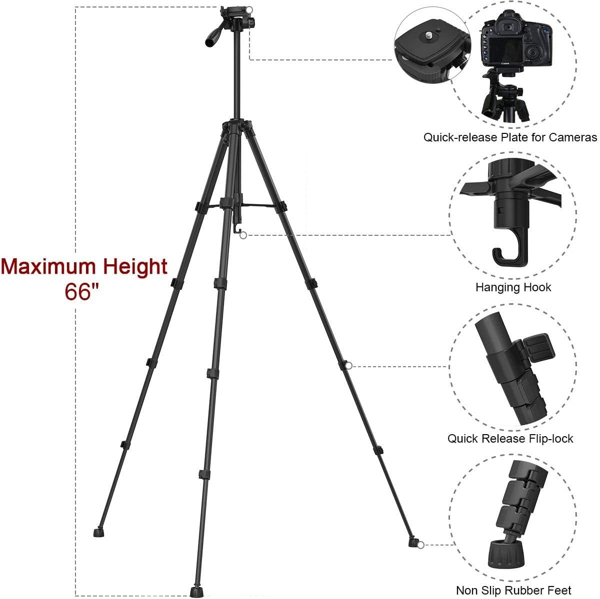Endurax 66" Video Camera Tripod for Canon Nikon Lightweight Aluminum Travel DSLR Camera Stand with Universal Phone Mount and Carry Bag : Camera & Photo
