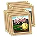 Softball Star Birthday Party Supplies - Softball Party Decorations - Softball Party Supplies - Girls Softball Birthday - Tableware Set Includes Plates Napkins Cups - Kit for 16