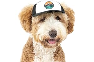 Sunset Collection, PupLid Trucker Hats for Dogs (Small) Premium Stylish Sun Protection for The Modern Dog - Adjustable for Secure Comfortable Fit on Active Dogs (Black, All-Terrain)