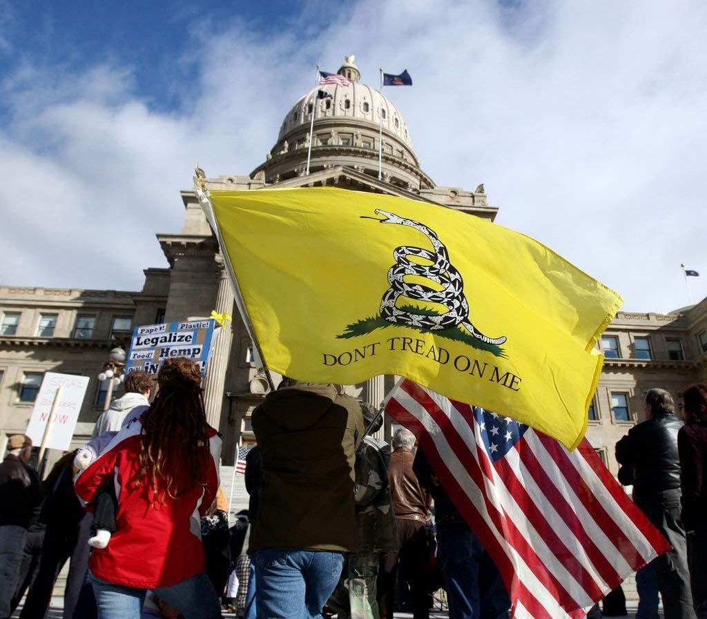 Thirty seven DAYS 3x5 ft American USA Flag and Don't Tread on Me Gadsden Flag Made by 100% Polyester with Brass Grommets (US Flag+Yellow Gadsden Flag) : Garden & Outdoor