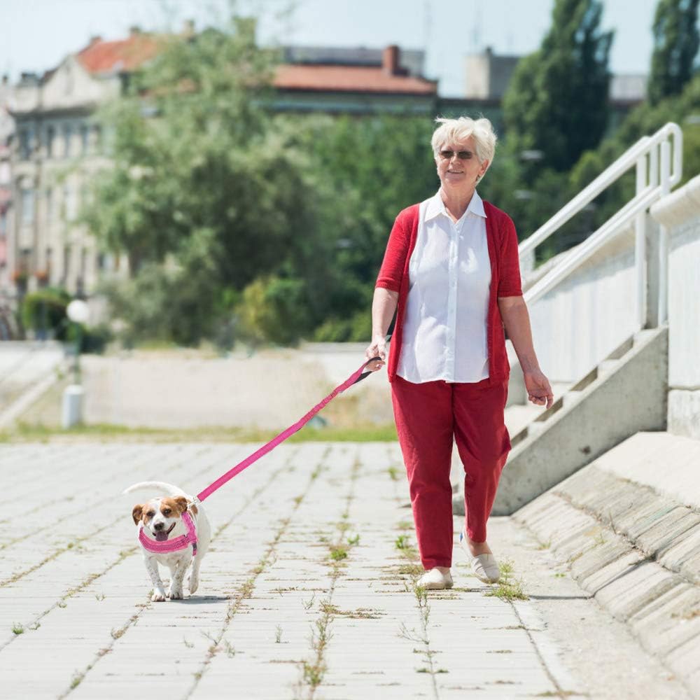 Eyein Small Dog Harness & Lead - Image 3