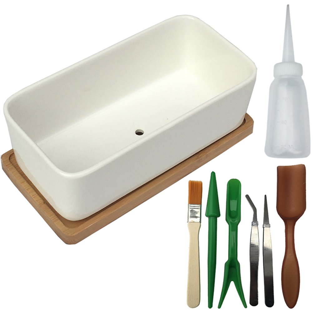 Best Bonsai Garden Box