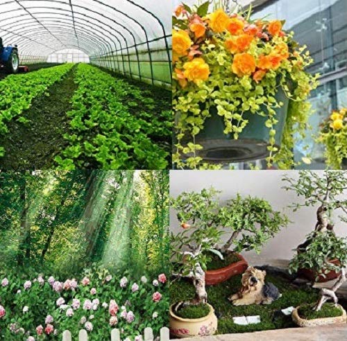BeGrit Garden Hose Pipe One Way Adapter Tap Connector Fitting for Irrigation 4-Pack - Thumbnail 7
