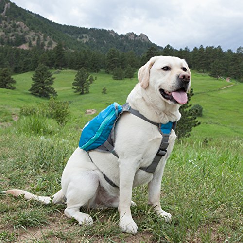 Daypak Dog Backpack Hiking Gear For Dogs by Outward Hound, Medium, Blue