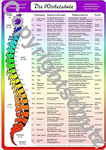 Wirbelsaulenzuordnungen A4 Ubersichtskarte Lehrtafeln Ubersichtskarten Amazon De Tanja Aeckersberg Bucher