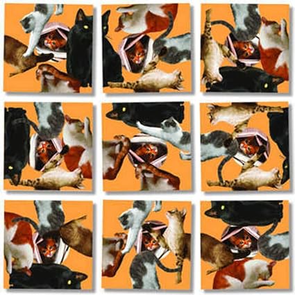 jack russell and pitbull