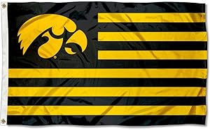 College Flags & Banners Co. Iowa Hawkeyes Stars and Stripes Nation Flag