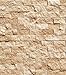 Oracle Tile & Stone Light 2X4 Split-Faced Travertine Mosaic Tile