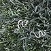 GIFTEXPRESS Life Like Snakes for Medusa Costume, Halloween Decoration and School Education
