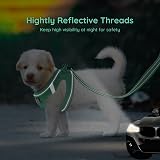 BELLA & PAL Dog Harness and Leash Set XXS Green Step-In Breathable Mesh view 6