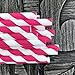 Paper Straws - Hot Pink White - Striped - 100 Pack - Outside the Box Papers Brand