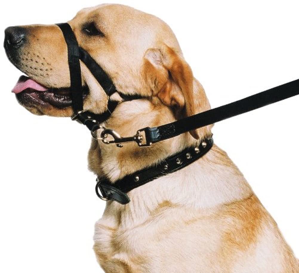 Ancol Weatherproof Nylon Dog Training Halter Head Collar - Black - Sturdy Pulling Control Pet Walking Accessory - XL