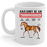 Lovesout Funny Sorrel Thoroughbred Horse Anatomy