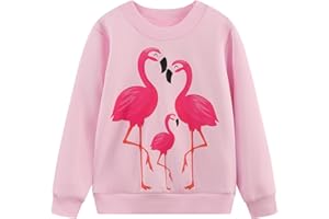 NUBEEHOHO Toddler Baby Girls Sweatshirts Kids Winter Clothes Casual Long Sleeve Shirts Crewneck Pullover Sweater Tops 2T-7T