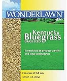 Barenbrug USA 50201 Kentucky Bluegrass Grass Seed