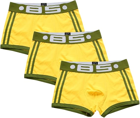 Amazon ボクサーパンツ メンズ パンツ 綿100 通気 吸汗 抗菌防臭加工 ボクサーブリーフ 男性 ショーツ メンズ下着 インナー 軽量 前閉じ 立体成型 5色展開 3枚セット 5枚セット ボクサー 通販