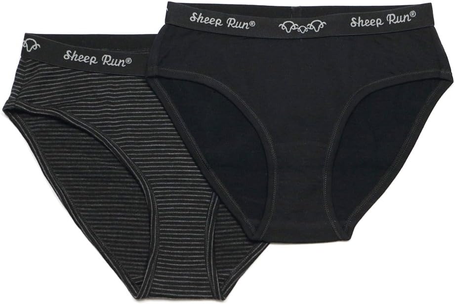 Sheep Run Women's 2 Pack Natural Breathable Moisture Wicking Anti-Odor Merino Wool Briefs …