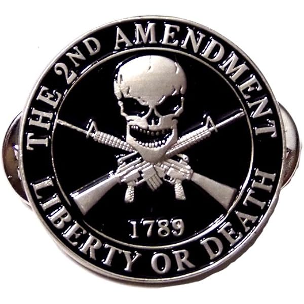 Amazon.com: Pinsanity 3D Winged Skull Lapel Pin : Clothing, Shoes