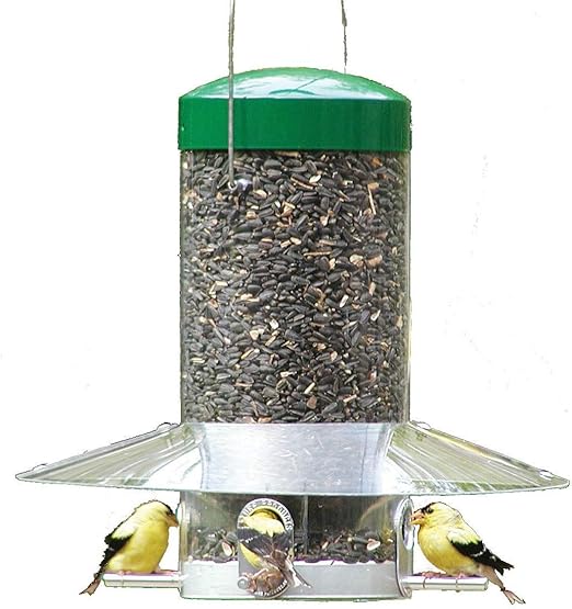 Amazon Com Birds Choice 12 Classic Hanging Tube Feeder Wild