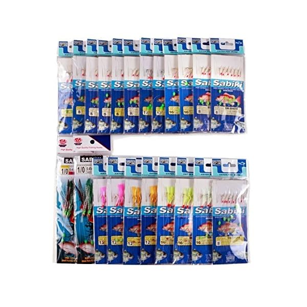 JT-Amigo-Assorted-22-Packs-Fishing-Sabiki-Rigs-Bait-Rigs-for-Freshwater-Saltwater JT-Amigo-Assorted-22-Packs-Fishing-Sabiki-Rigs-Bait-Rigs-for-Freshwater-Saltwater