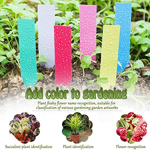 SIMUR 500 PCS El Plastico Semilla De Plantas Etiquetas Estacas ...