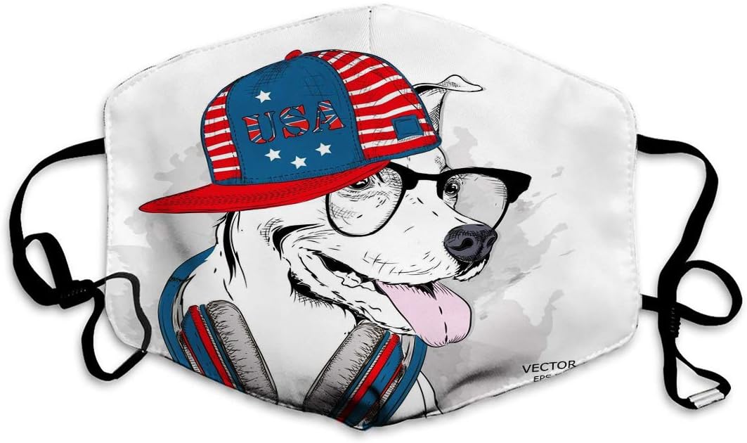 dog with glasses and hat