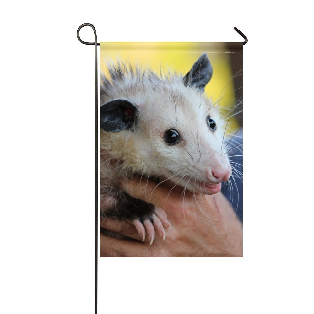 Best Opossum Garden Statue